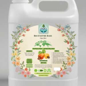 Enzo Pure Cashew Fruit Enzyme